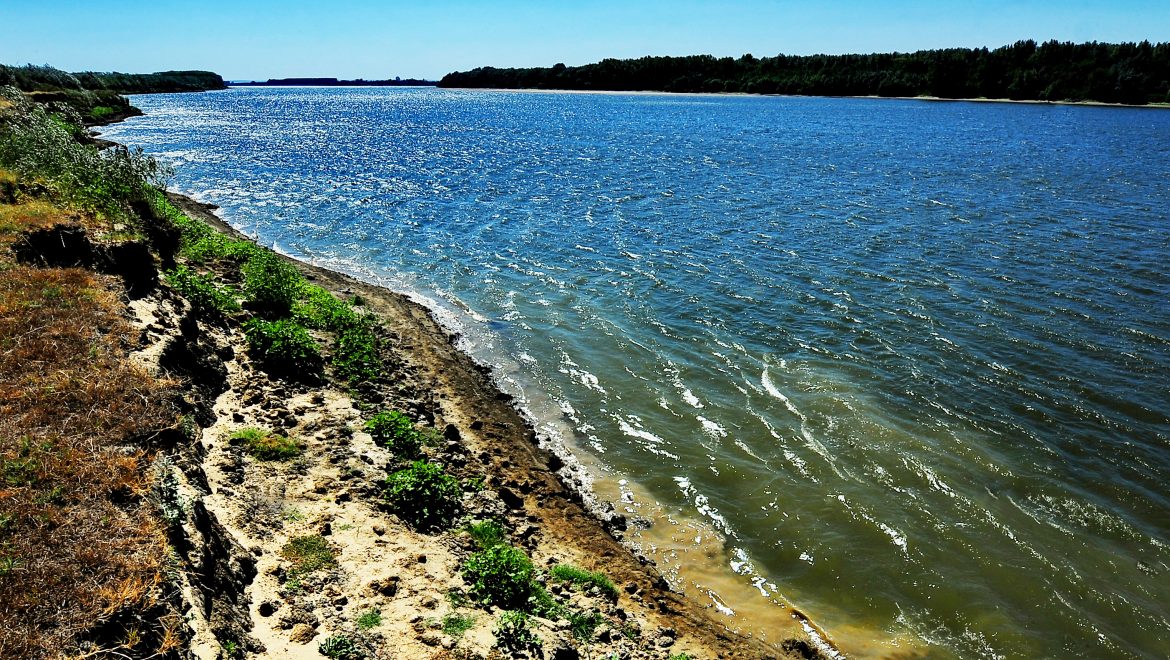 Situl Natura 2000 ROSPA0024 Confluența Olt-Dunăre
